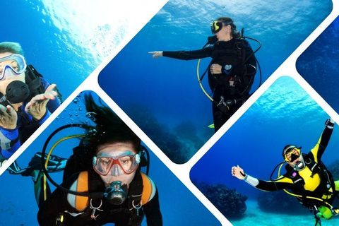 Marmaris/Icmeler: Scuba Diving Experience w/Lunch & Transfer