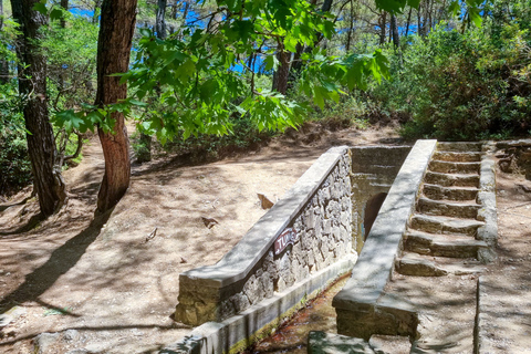 Rhodes : Excursion d&#039;une journée dans la vallée des papillons et la vallée de Seven Springs