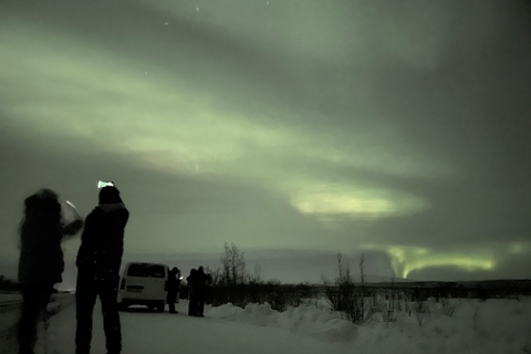 Från Kiruna: Abisko nationalpark norrskenstur