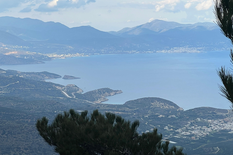 Ierapetra : Journée exceptionnelle en quad 4x4 dans le sud de la Crète 2025