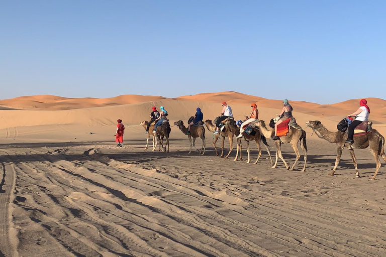 Depuis Marrakech : 3 jours dans le Sahara en groupe