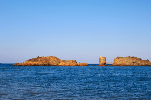 From Heraklion: Palm Forest Beach of Vai, Toplou & Sitia German Tour: Pick up from Anisaras, Analipsi & Gouves