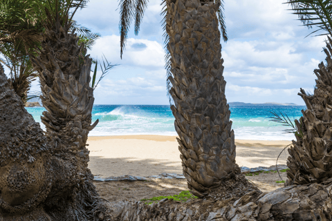 From Heraklion: Palm Forest Beach of Vai, Toplou & Sitia German Tour: Pick up from Anisaras, Analipsi & Gouves