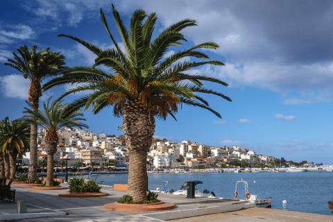 From Heraklion: Palm Forest Beach of Vai, Toplou & Sitia German Tour: Pick up from Anisaras, Analipsi & Gouves