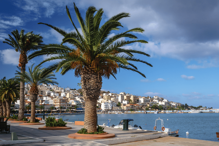 From Heraklion: Palm Forest Beach of Vai, Toplou & Sitia German Tour: Pick up from Anisaras, Analipsi & Gouves