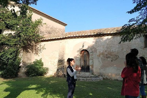 Penedes: Private Wine and Cava Tasting Tour