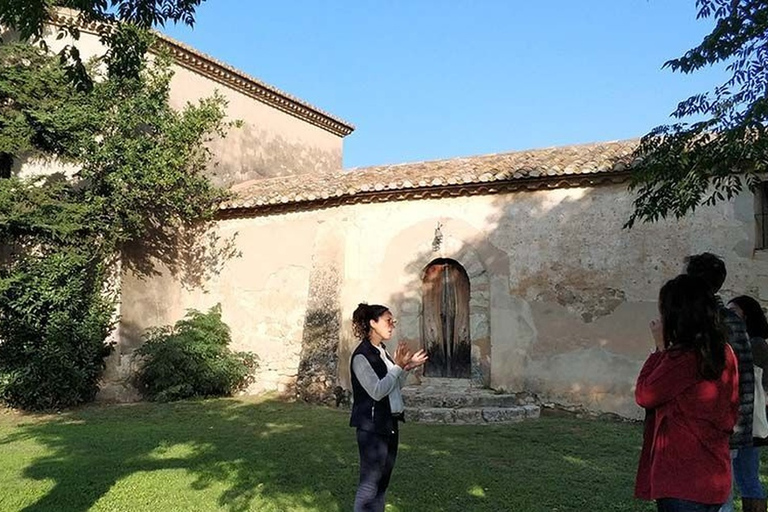 Penedes: Private Wine and Cava Tasting Tour