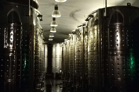 Penedes: Private Wine and Cava Tasting Tour