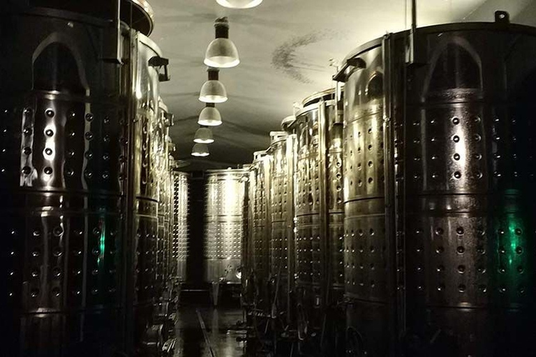 Penedes: Private Wine and Cava Tasting Tour