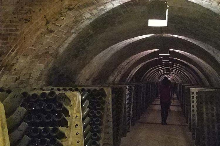 Penedes: Private Wine and Cava Tasting Tour