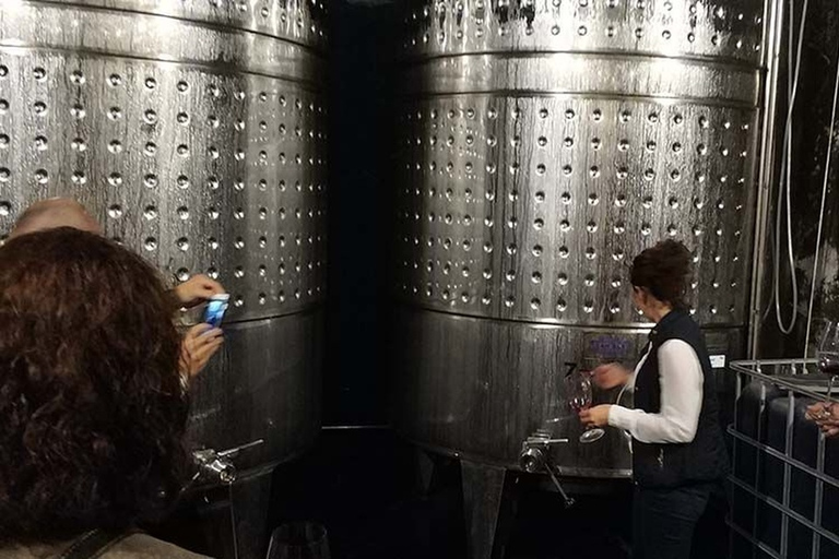 Penedes: Private Wine and Cava Tasting Tour