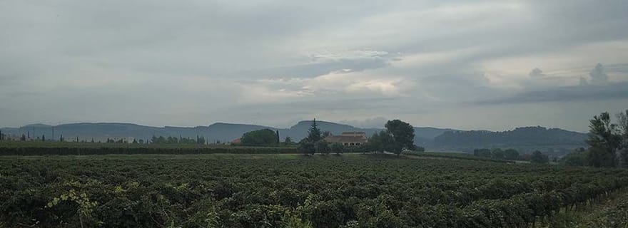 Penedes: visite privée de dégustation de vin et de cava