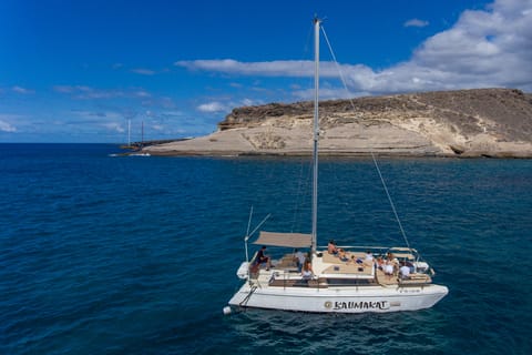 Von Costa Adeje aus: Private Katamaran Tour mit Schnorcheln