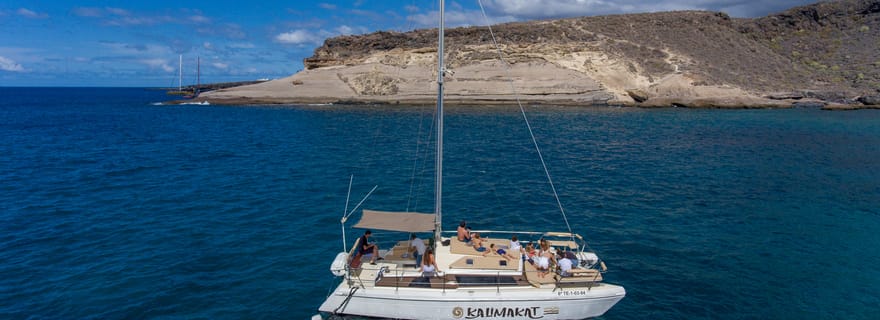 Costa Adeje : Visite privée en catamaran 22 personnes max.