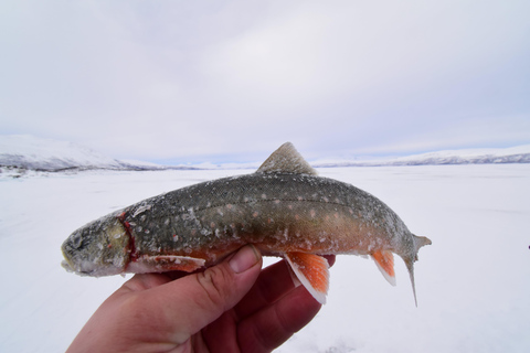 Abisko: Eisfischen