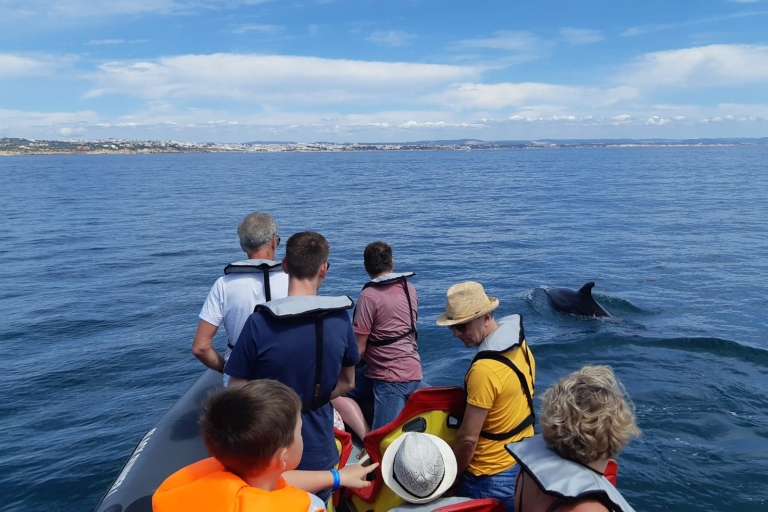 Benagil: tour guiado en barco por cuevas y delfines