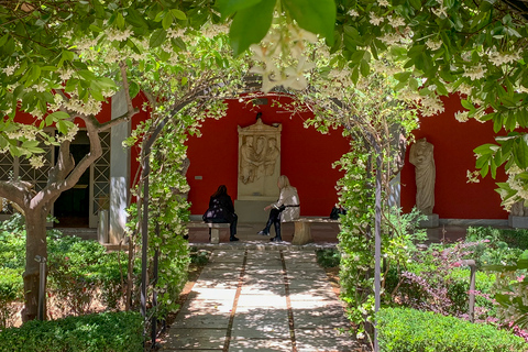 Tour Privado al Museo Arqueológico Nacional con Admisión