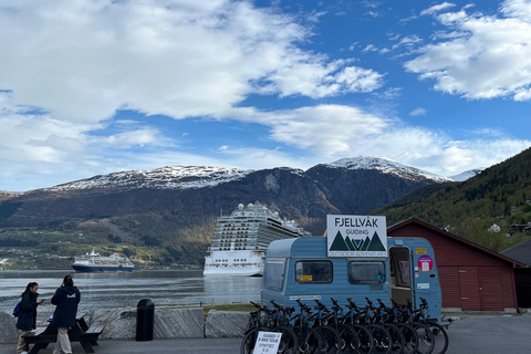 Olden: Guidad tur på elcykel