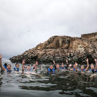 Lima: Nuoto con i leoni marini selvatici sulle Isole Palomino