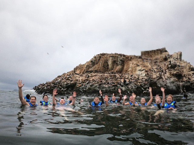 Visit Callao Swimming with Sea Lions Palomino Islands Boat Tour in Lima