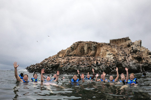 Callao: Nuoto con i leoni marini Tour in barca delle Isole Palomino