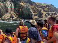 Callao, natation avec les îles de Sea Lions Palomino Islands Tour en bateau - Housity