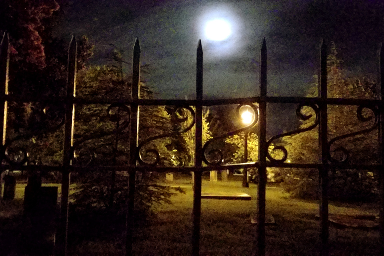 Savannah: Ghost Tours and Pub Crawls with a Ghost Hunter Guided ghost tour in English