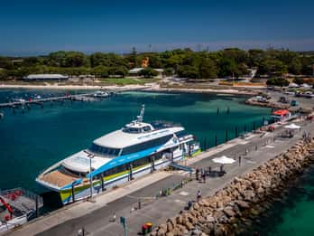 Hillarys Boat Harbour: Rottnest Island Ferry Transfer