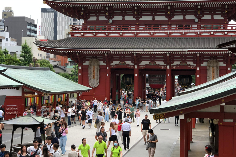 Tokyo-turer på spanska (Asakusa - Skytree Tower- Akihabara)Tokyo Tours på spanska