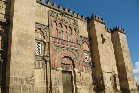 Cordova: tour privato a piedi della Moschea-Cattedrale di CordovaCordova: tour privato della Mezquita in spagnolo