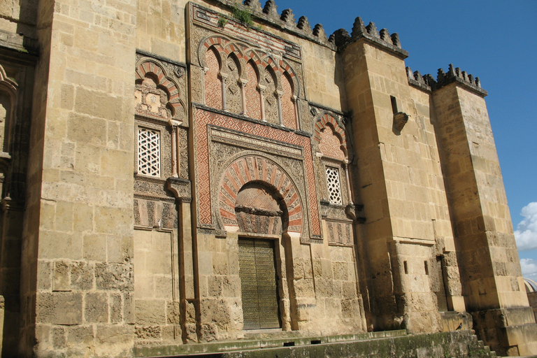 Cordova: tour privato a piedi della Moschea-Cattedrale di CordovaCordova: tour privato della Mezquita in spagnolo