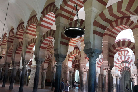 Cordova: tour privato a piedi della Moschea-Cattedrale di CordovaCordova: tour privato della Mezquita in spagnolo