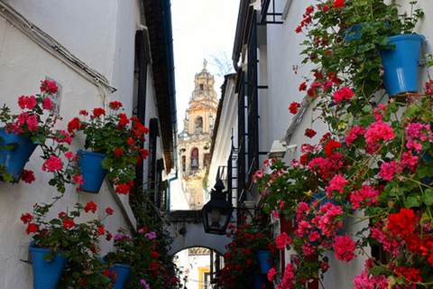 Córdoba: privéwandeling moskee-kathedraal van CordobaCórdoba: Mezquita privétour Spaans