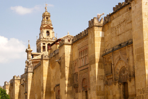 Córdoba: privéwandeling moskee-kathedraal van CordobaCórdoba: Mezquita privétour Spaans