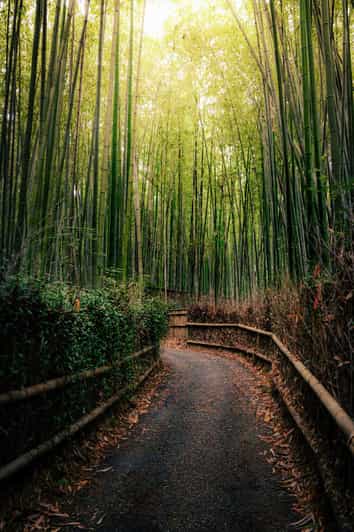Kyoto: Arashiyama Day Tour with Train, Boat, and Onsen