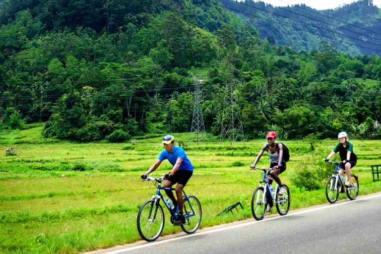 Bentota: tour guiado en bicicleta con refrescosTour de un día en bicicleta en Bentota