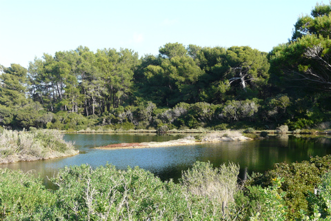 From Cannes: Ferry Tickets to Sainte-Marguerite Island Discover Sainte Marguerite island in the bay of Cannes