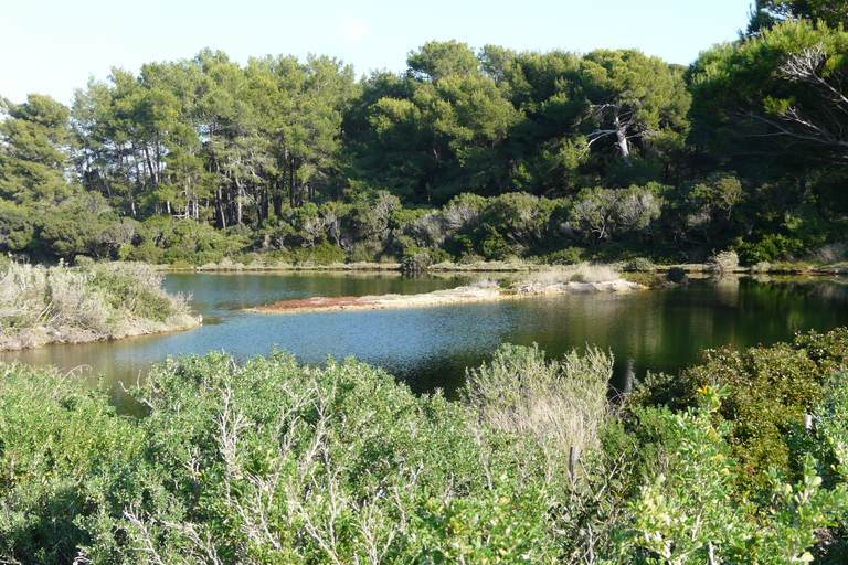 From Cannes: Ferry Tickets to Sainte-Marguerite Island Discover Sainte Marguerite island in the bay of Cannes