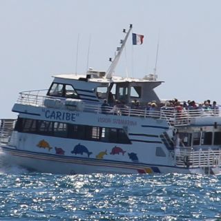 From Cannes: Ferry Tickets to Sainte-Marguerite Island
