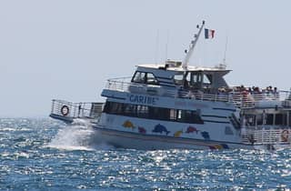 Von Cannes aus: Tickets für die Fähre zur Insel Sainte-Marguerite