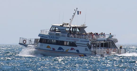 Von Cannes aus: Tickets für die Fähre zur Insel Sainte-Marguerite