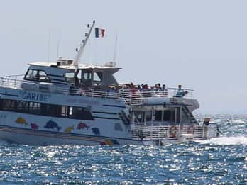 From Cannes: Ferry Tickets to Sainte-Marguerite Island