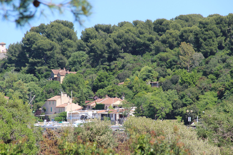 From Cannes: Ferry Tickets to Sainte-Marguerite Island Discover Sainte Marguerite island in the bay of Cannes