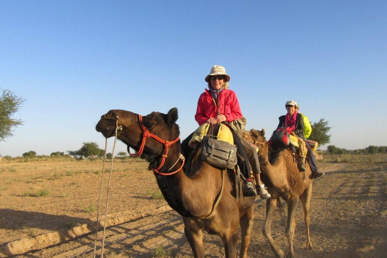 Camel Safari With Temple Visit From Jodhpur Camel Safari With Temple Visit