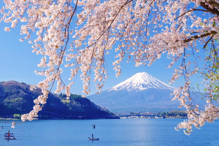 Mount Fuji, Oshino Hakkai & Outlet Onsen Day Tour From Tokyo Departure From Tokyo Station