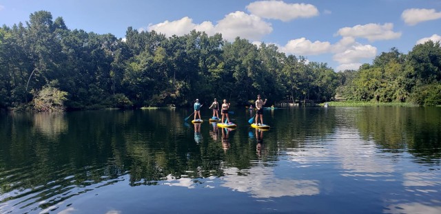 Visit Longwood Wekiva River Freshwater Springs Paddleboard Tour in Sanford, Florida