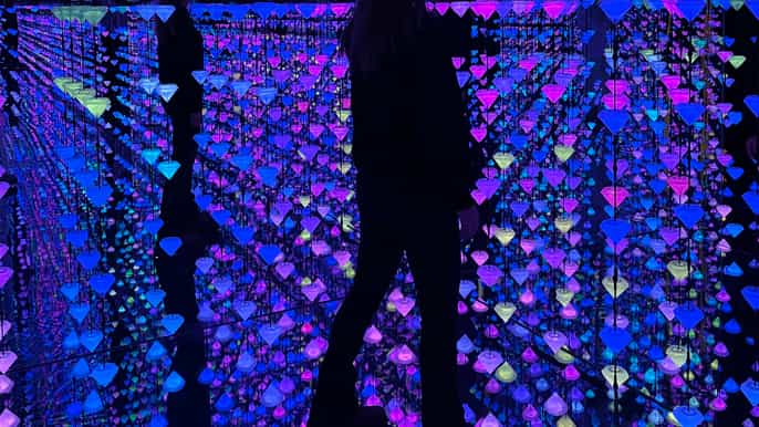 Moco Museum Barcelona: Entry Tickets with Banksy and More