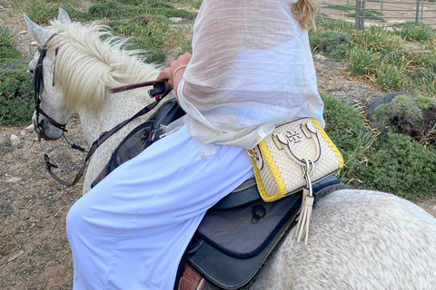 Passeio a cavalo, pôr do sol em Falasarna, jantar em uma taberna, vídeo com drone