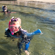 Anna Bay: Irukandji Entry with Zebra Shark Snorkel