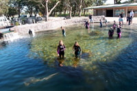 Anna Bay, Irukandji Entry and Shallow Water Shark Encounter - Housity